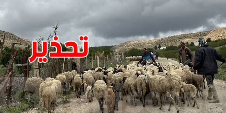 موجة حر قياسية.. تحذير للفلاحة والبحارة من 48 درجة والشهيلي